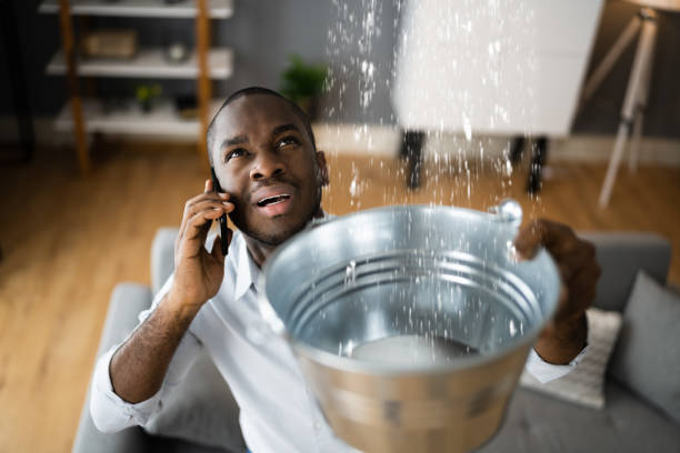Best Sewage cleanup and water damage restoration  in Parkville, MD