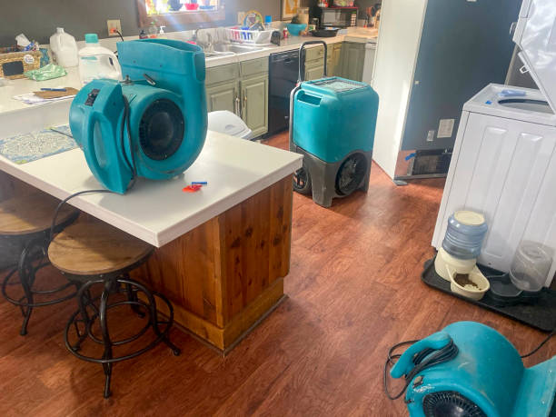  Parkville, MD Water damage restoration Pros