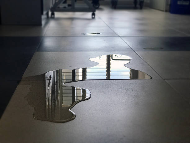 Best 24-hour water damage restoration  in Parkville, MD