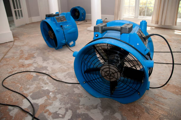 Sewage cleanup and water damage restoration in MD