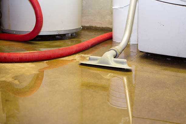 Best Commercial water damage restoration  in Parkville, MD
