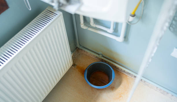 Best Mold removal after water damage  in Parkville, MD