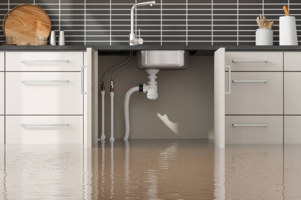 Best Flood damage cleanup  in Parkville, MD