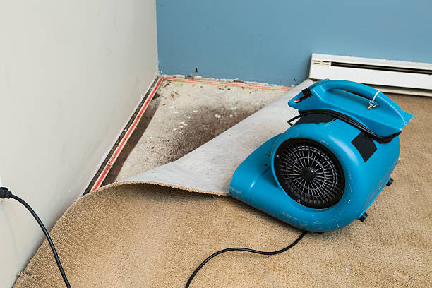 Best Carpet water damage restoration  in Parkville, MD